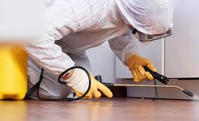 Reliable Weston, OH Pest Control Solutions